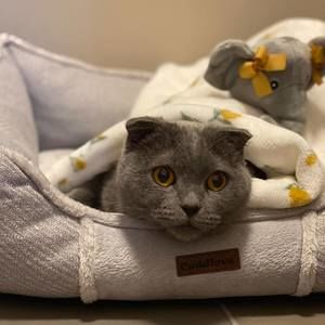 Meet your Posher, Ang